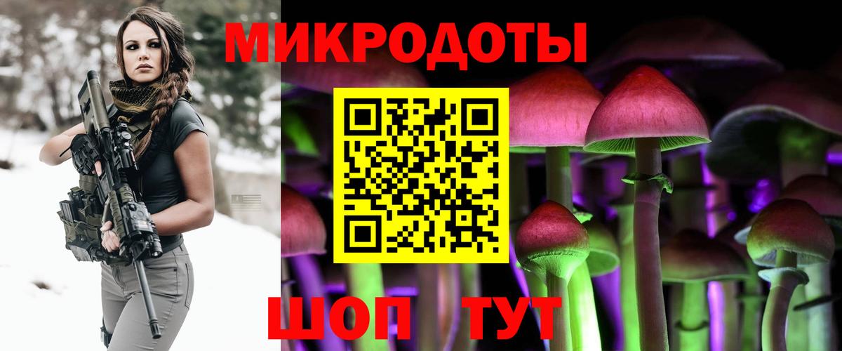 Белгород  продажа наркотиков  Галлюциногенные грибы GOLDEN TEACHER  Вход с VPN  Псилоцибиновые грибы Psilocybe 